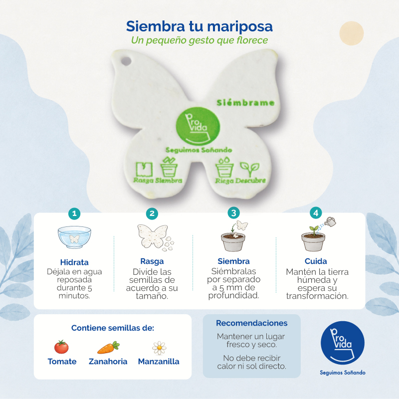 mariposa_digital_ecommerce