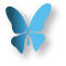 MARIPOSA-AZUL.webp