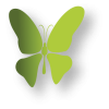MARIPOSA-VERDE.webp